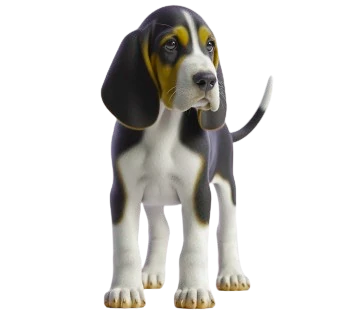 Le Chiot Treeing Walker Coonhound est connu pour son endurance